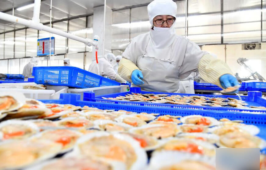 華東懸浮風(fēng)機(jī)案例-山東**食品有限公司